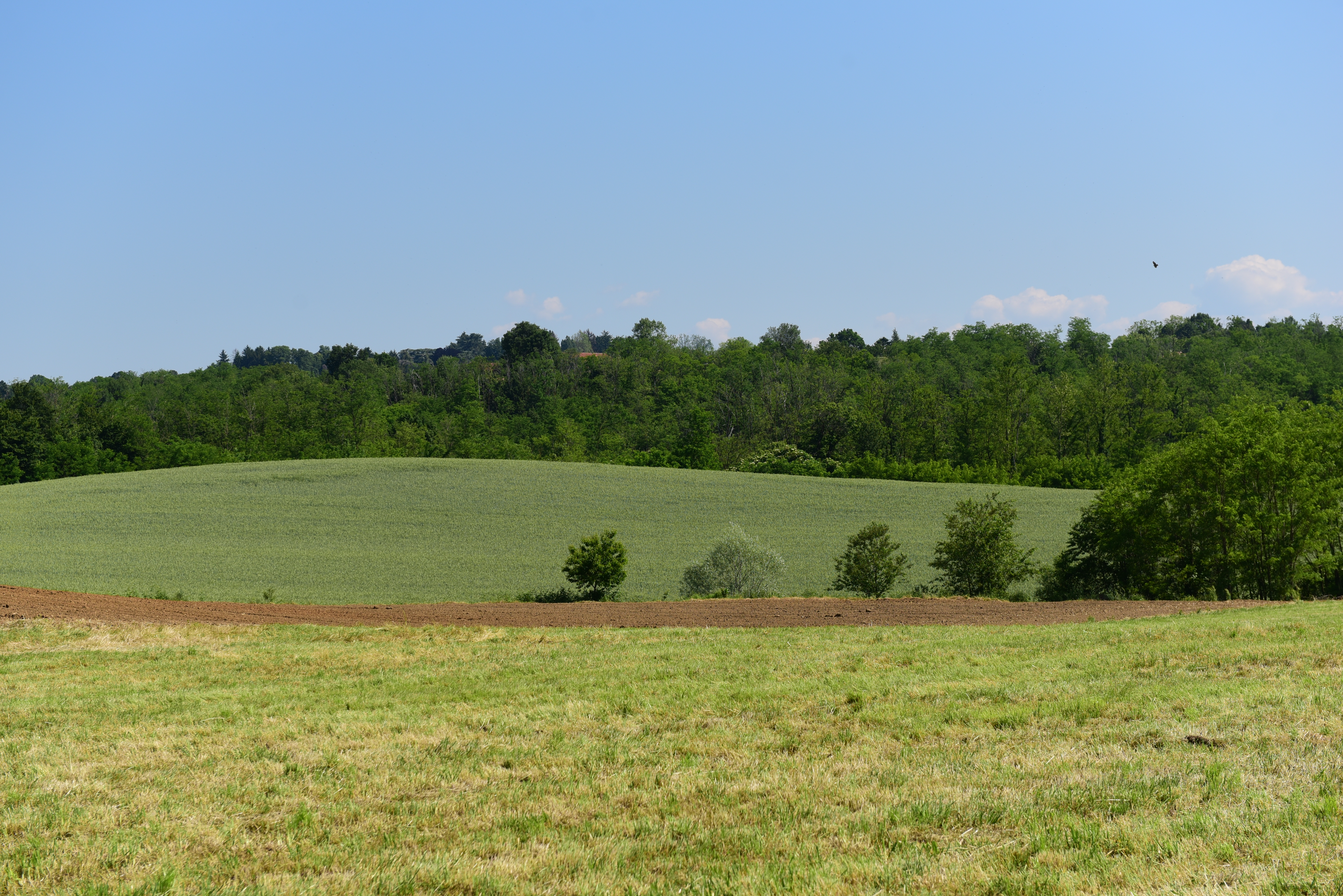 Casatenovo_dintorni (25)