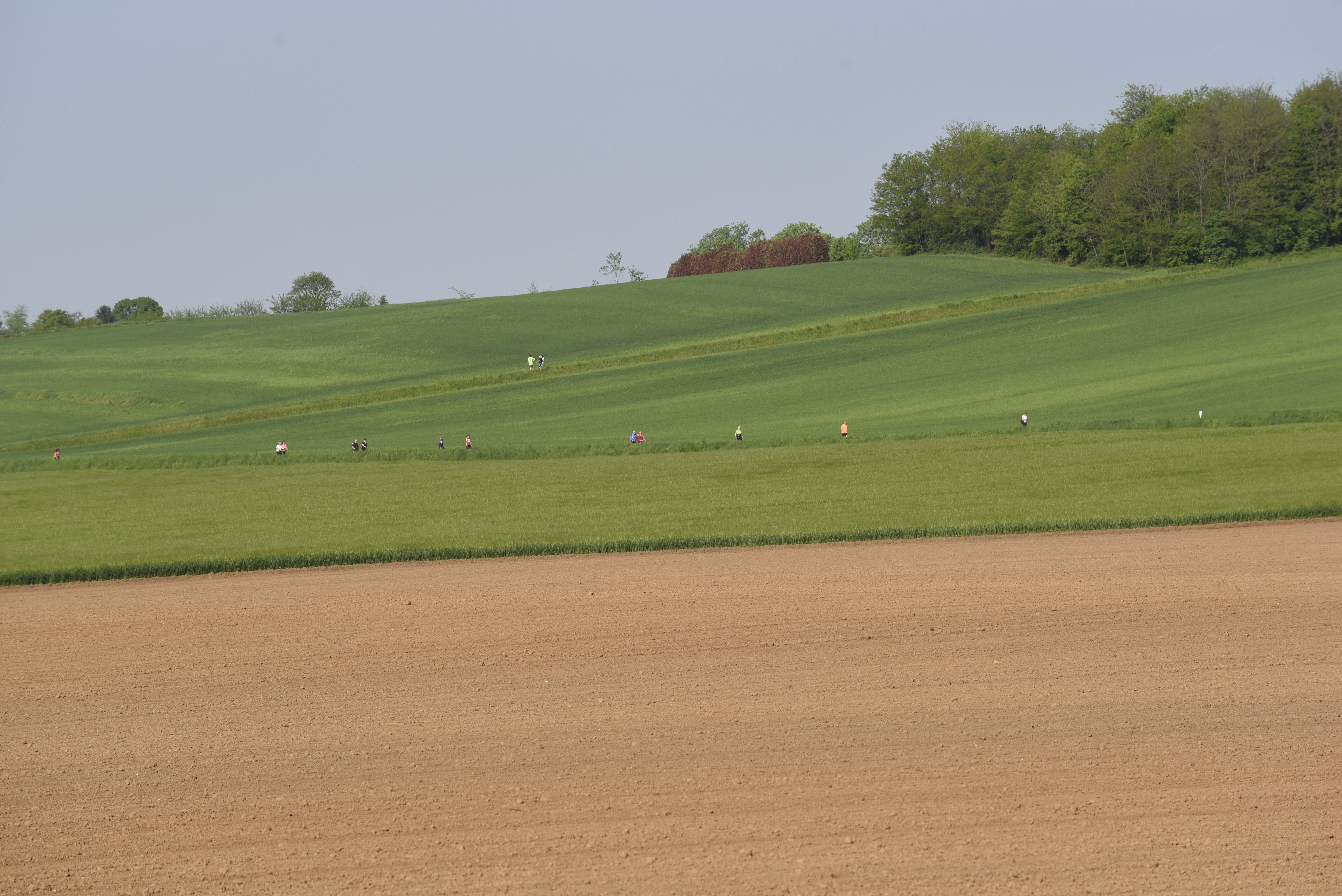 Casatenovo_dintorni (32)