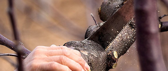 image_thumb