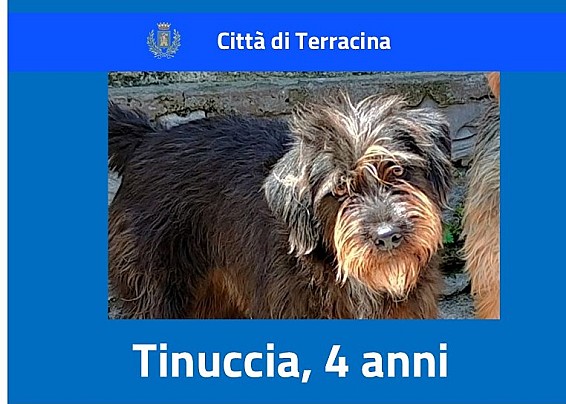 Tinuccia