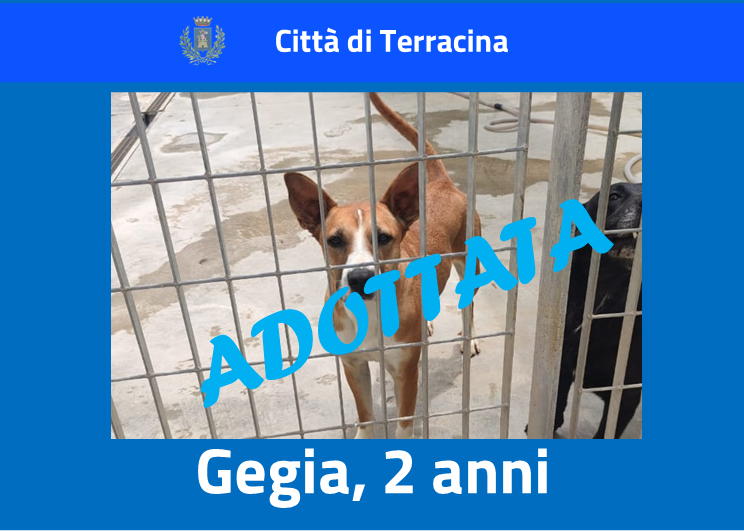 Gegia