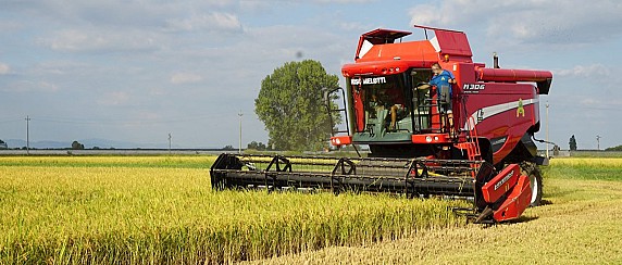 Avviso d'asta per affidamento in locazione di terreno di proprieta' comunale