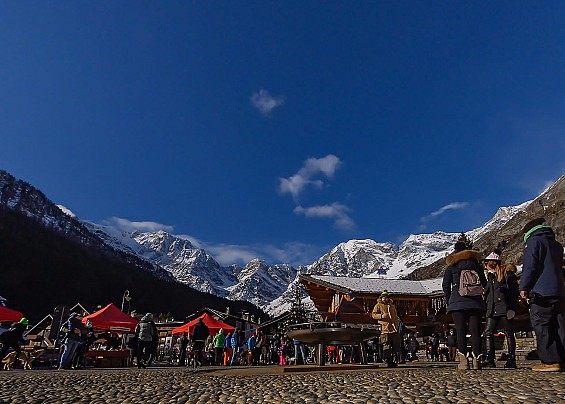 Immagine non trovata