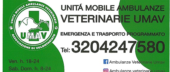 Immagine non trovata