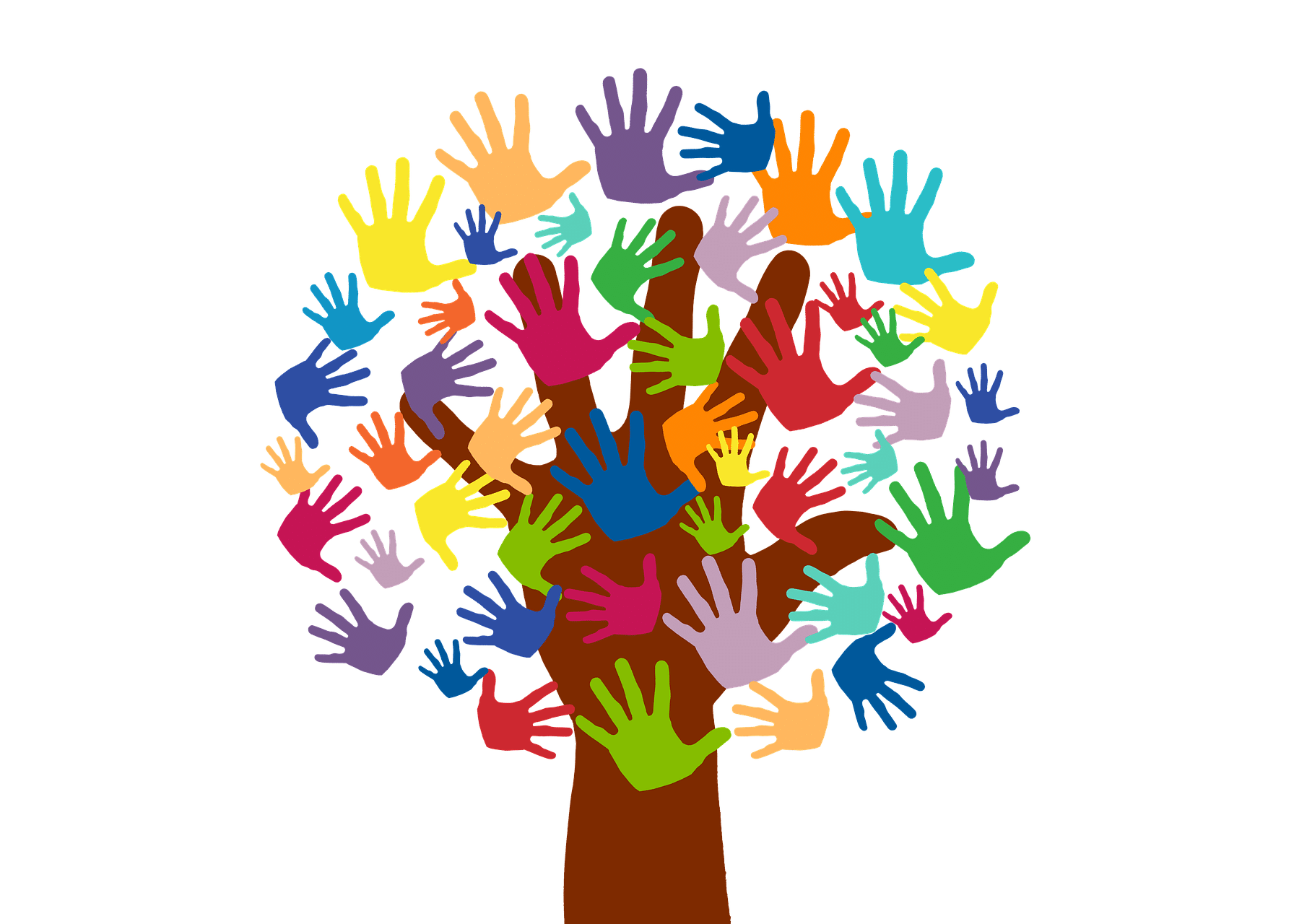 GIORNATA INTERNAZIONALE DEL VOLONTARIATO