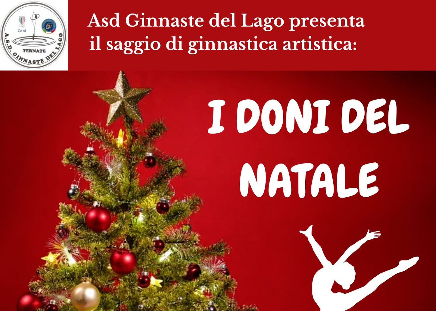 Asd Ginnaste del Lago - saggio di ginnastica artistica
