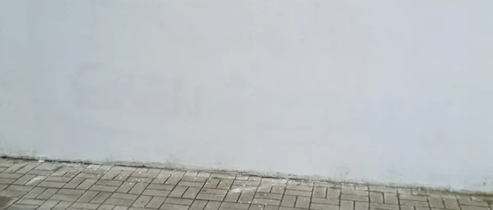 Immagine principale