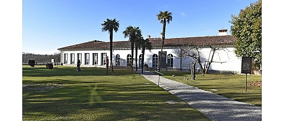 Immagine non trovata