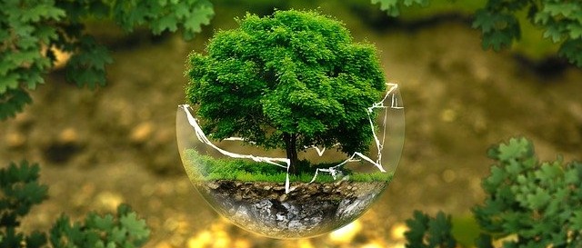 Immagine principale