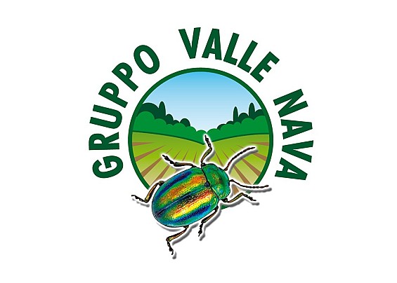 Immagine non trovata