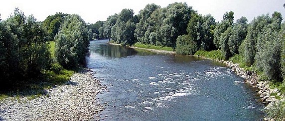image_thumb