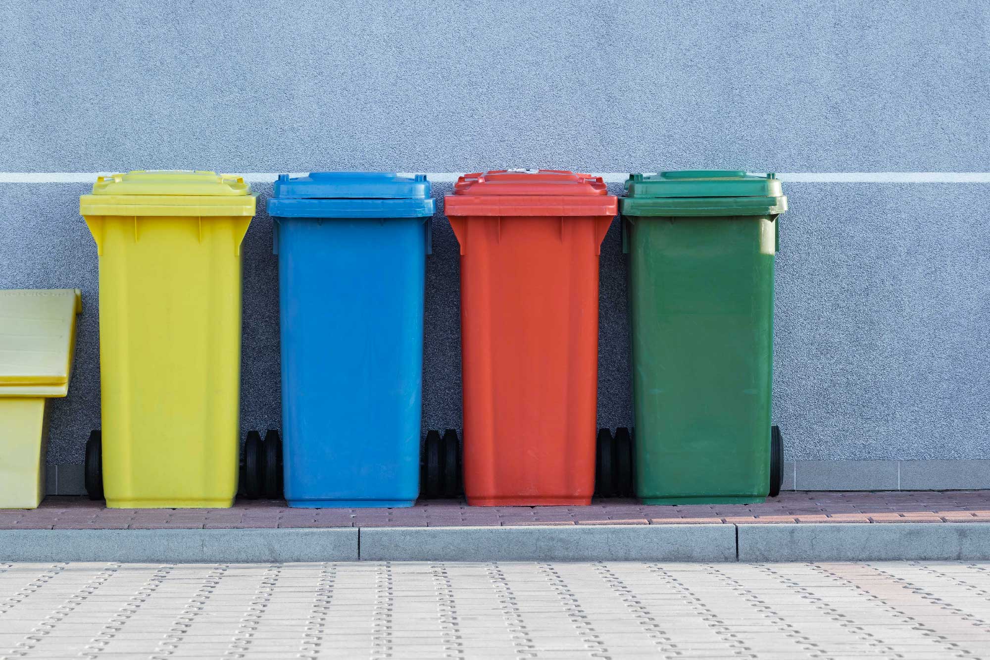 Immagine principale