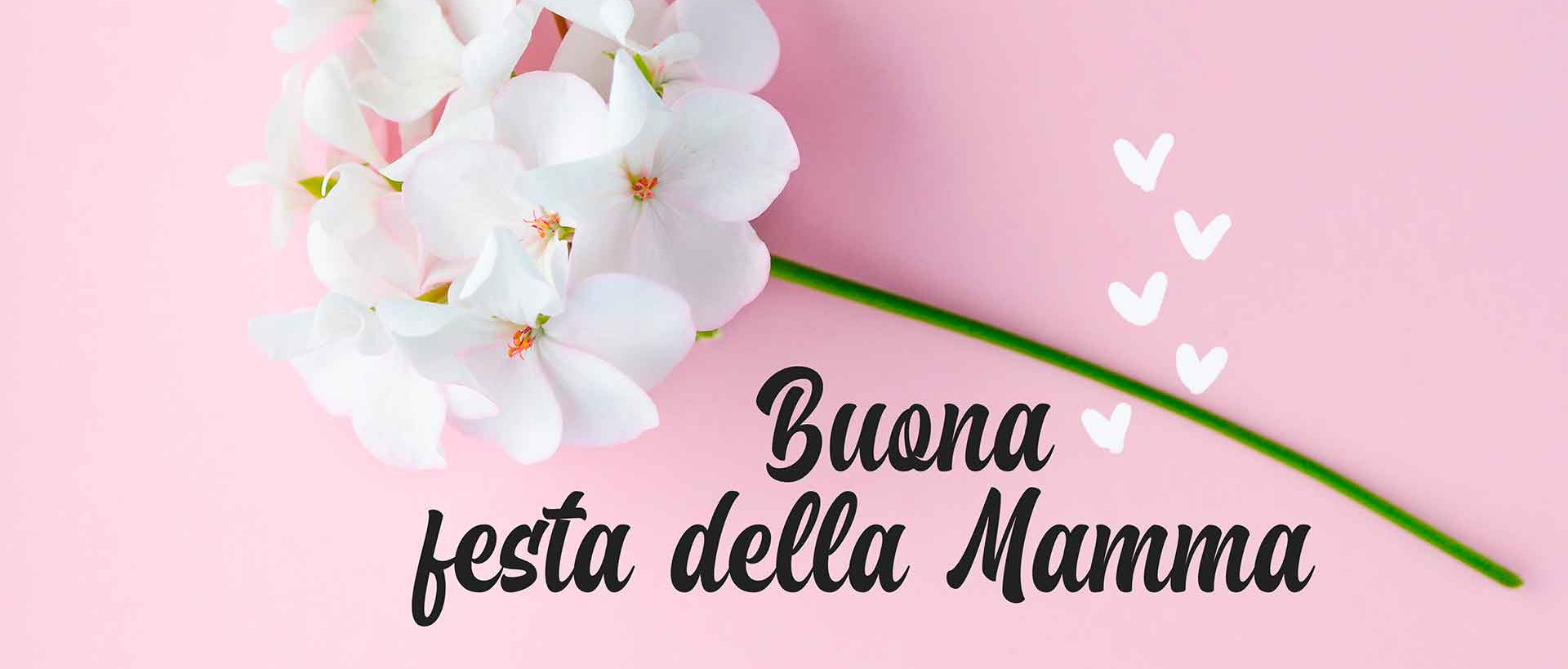 Immagine principale