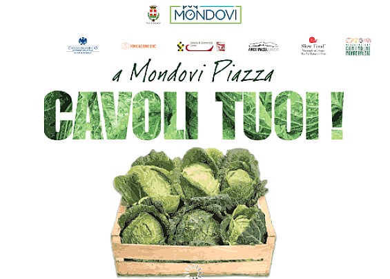 Immagine non trovata