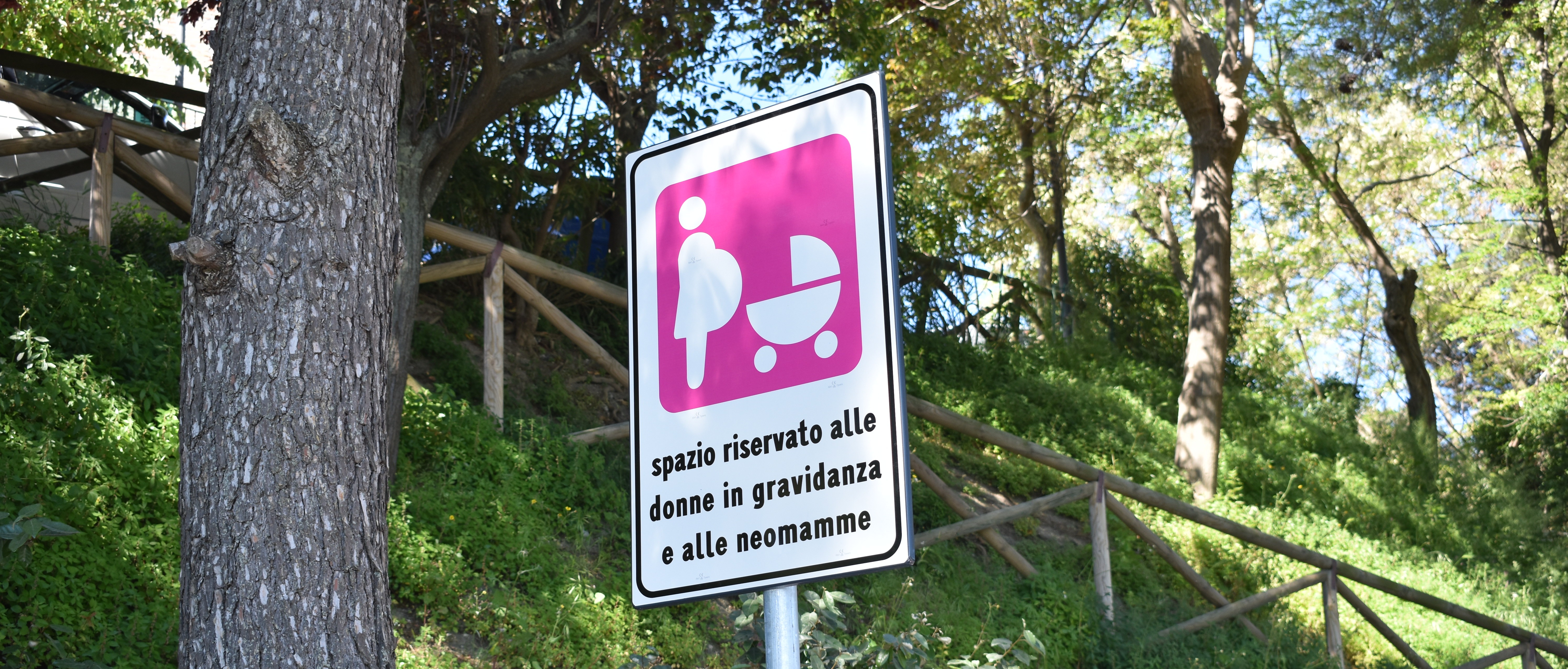 Immagine principale