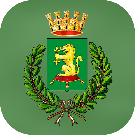 Comune di Viadana