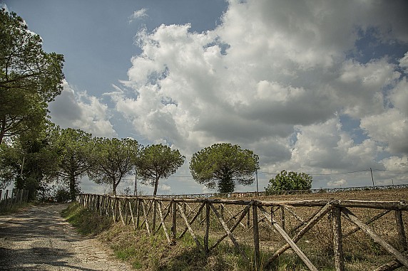 andrea.deieso.via_.francigena.veio32-5