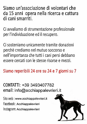 presentazione1 comune copia