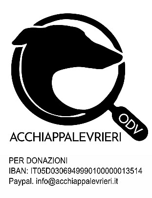 testa logo comune copia