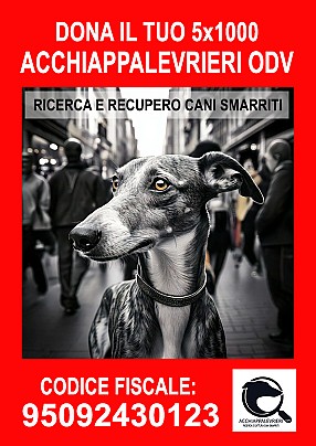 5x1000 2025 2 copia