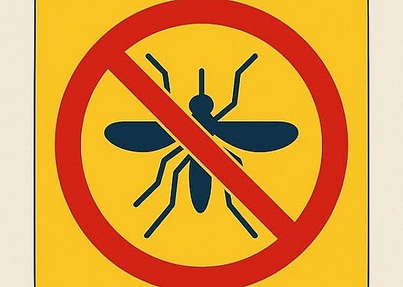 DISINFESTAZIONE ZANZARE