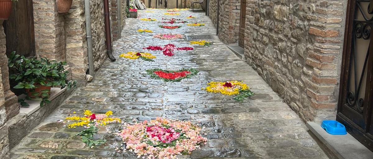 Immagine principale