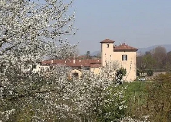 Immagine non trovata