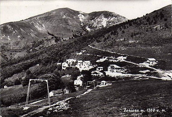 forcora._1967