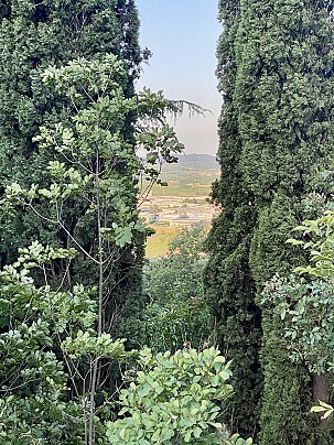 IMG_8844