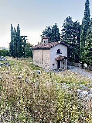 IMG_8841