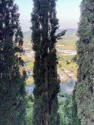 Vista_5