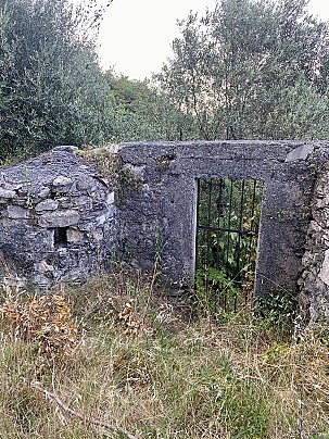 IMG_8850