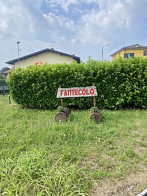 IMG_8887