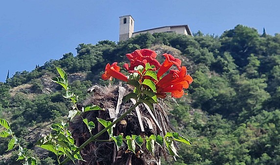26_Inviato