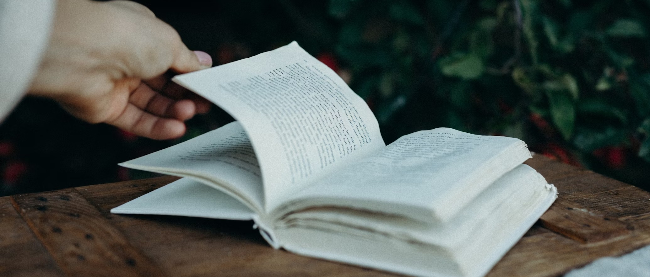 Libri fra cortili e giardini
