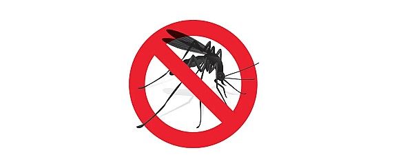 Disinfestazione contro zanzare e insetti volanti