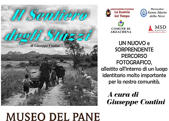 Immagine non trovata