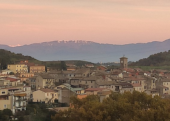 Immagine non trovata