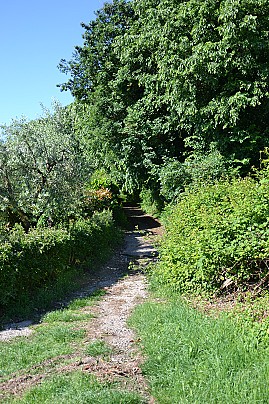 Fantecolo_4
