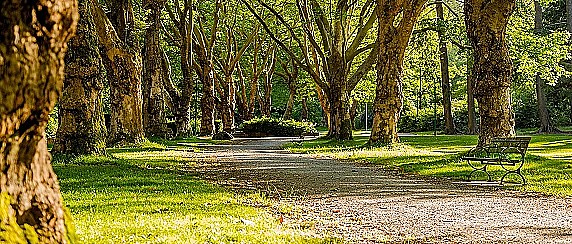Terza Passeggiata nel Cuore della Natura