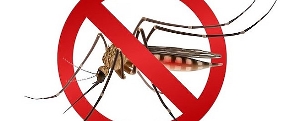 Disinfestazione contro zanzare, mosche, vespe, calabroni e blatte