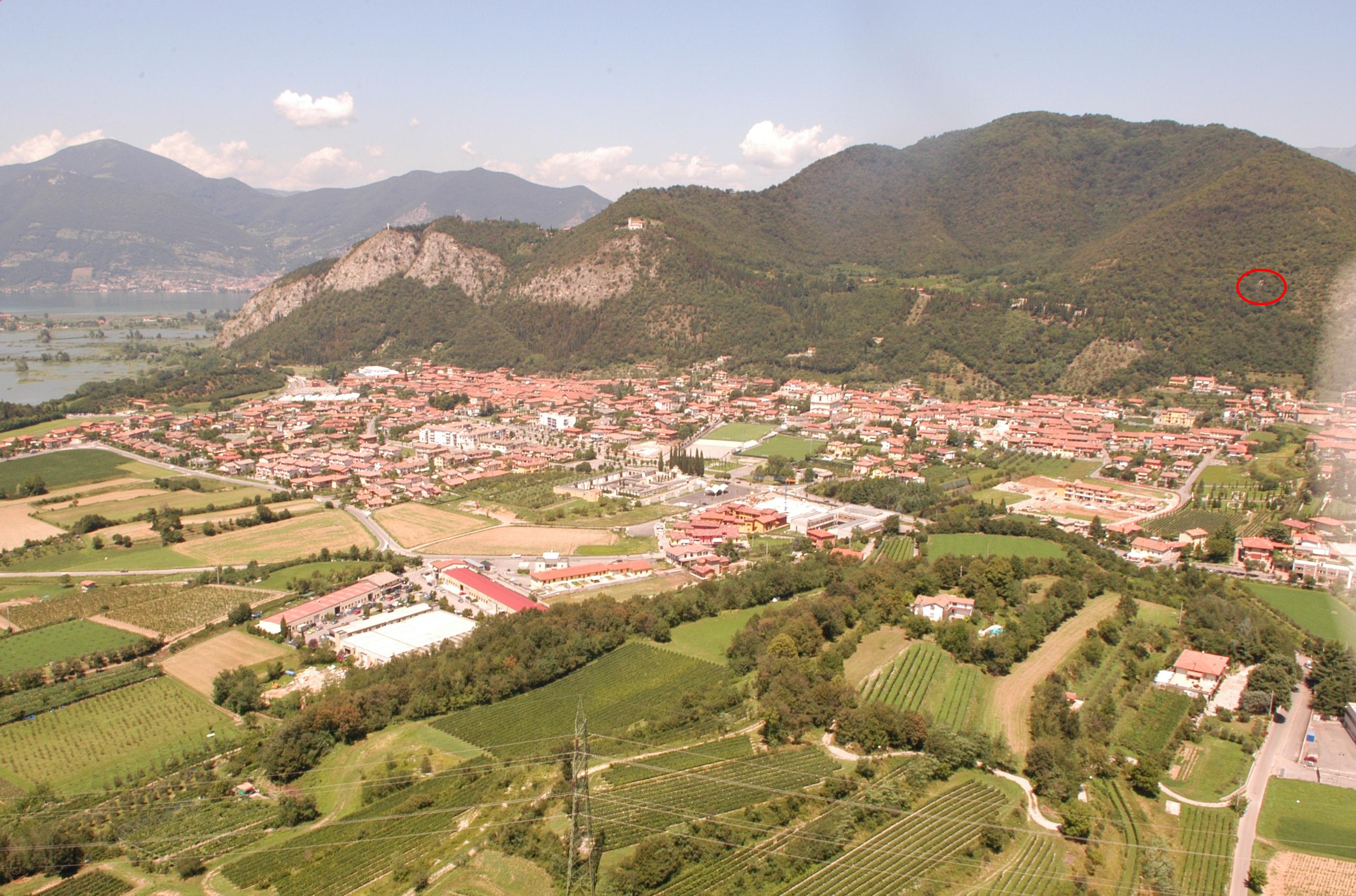 Vista