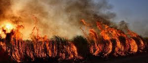 Catasto incendi