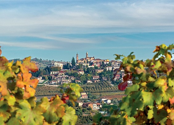 Foto di Lupoli Ada