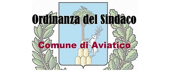 Ordinanza n. 9 del 17 Luglio 2025