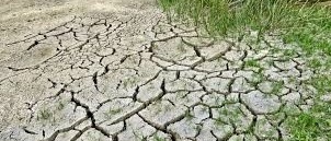 Stato di calamità naturale per siccità e alte temperature