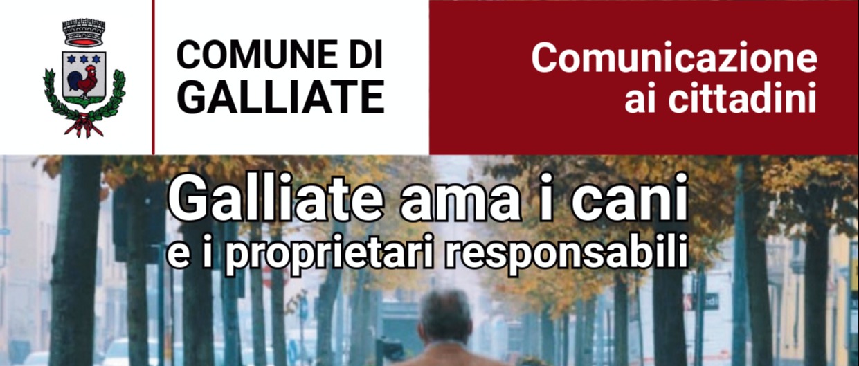 Immagine principale