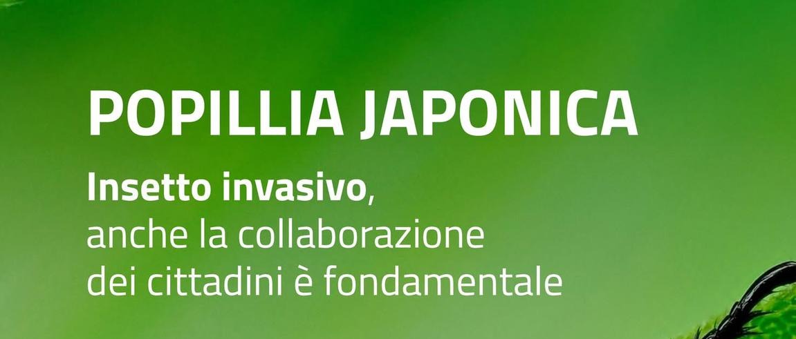Immagine principale