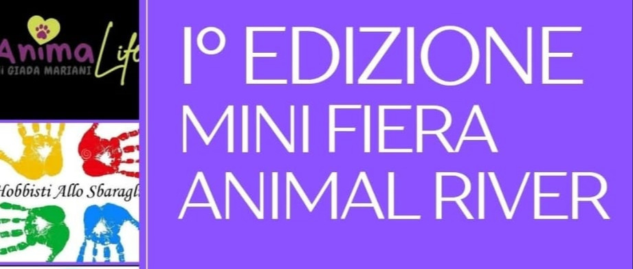 Immagine principale