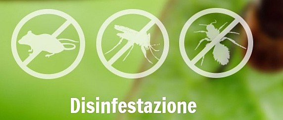 Avviso disinfestazione contro insetti alati